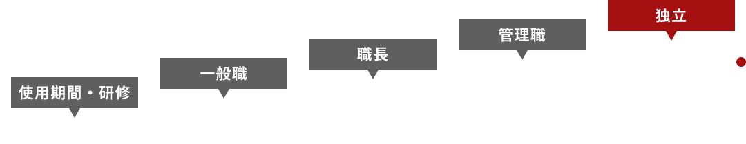 キャリアステップ例